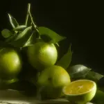 Viaggi del gusto: Bergamotto, l'oro di Calabria